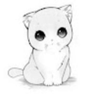 Meet your Posher, Kitty